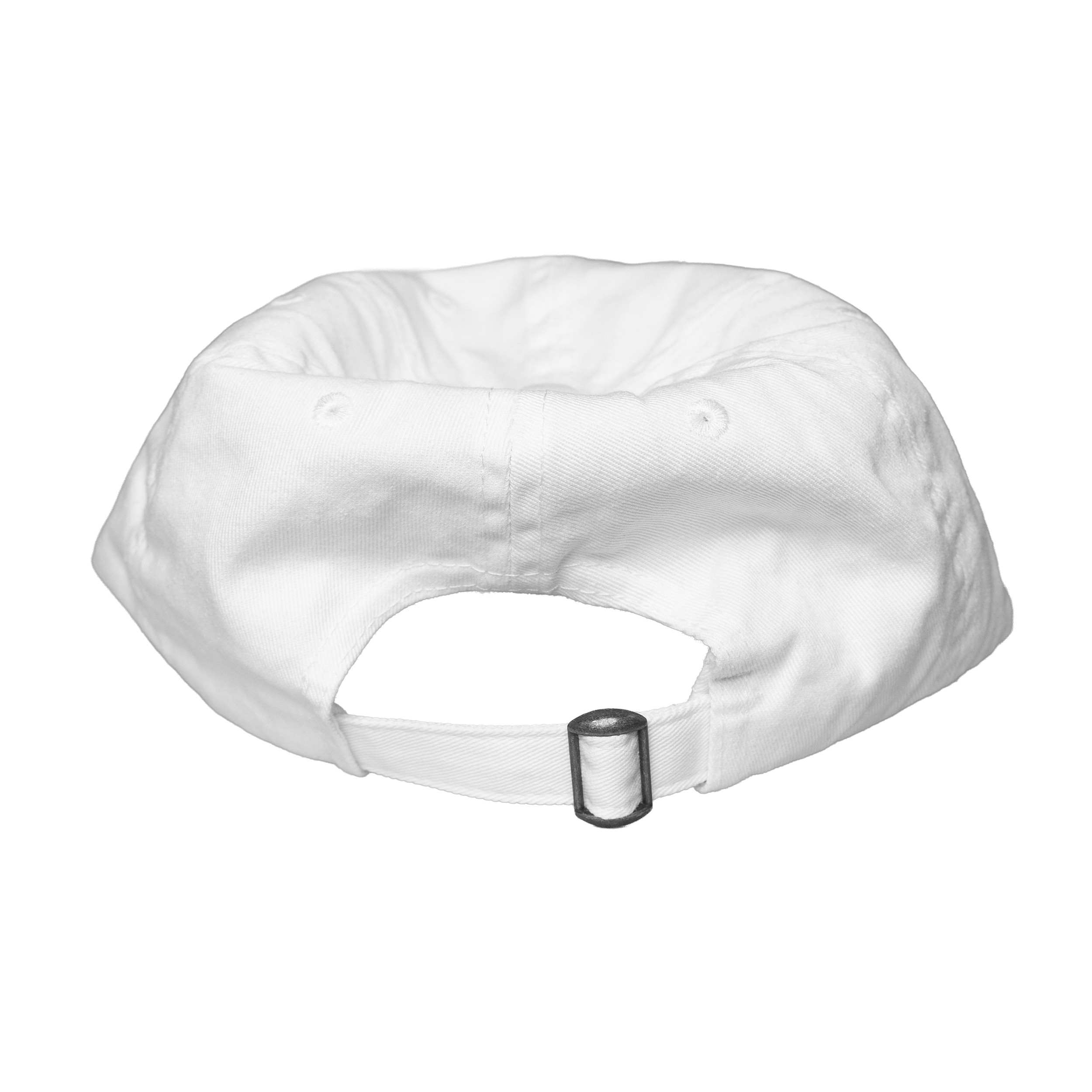 Frog Rider Cap